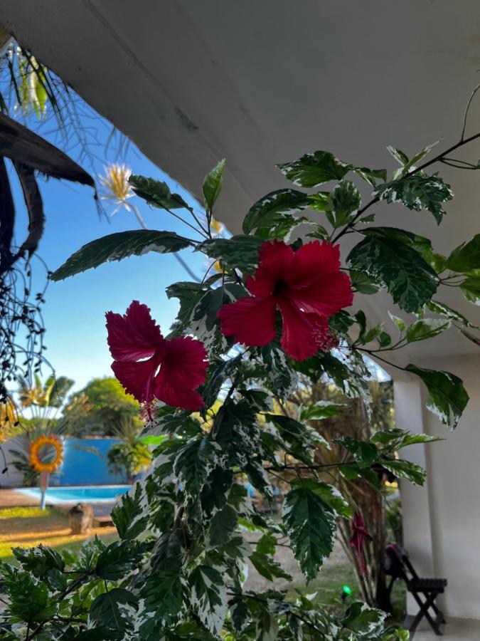 Eco Suites Caravelas كابو فريو المظهر الخارجي الصورة